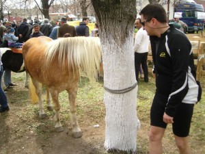 Bg-Sakule 26.03
