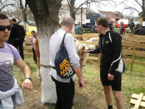 Bg-Sakule 26.03