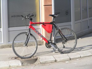 Duletov Polar