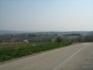 IMG_1186 (2)