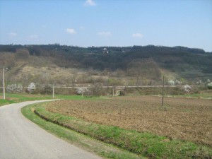 IMG_1213