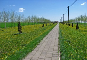 fotka8