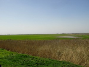 Bgd-Kacarevo-Bgd 029