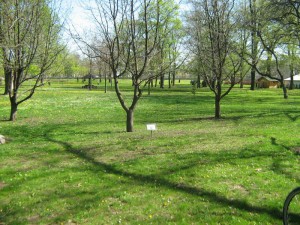 IMG_3033