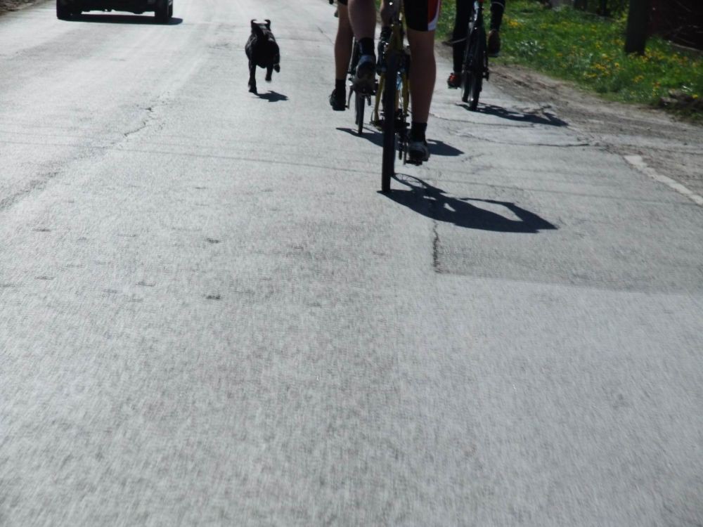 Avala_via_Ripanj_08