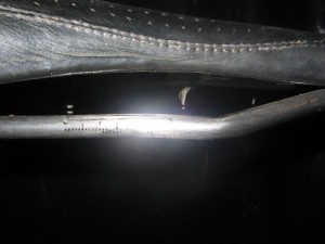Picture 005