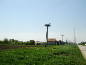 DSCI9576