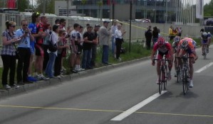 ZATVORENI STEVIC