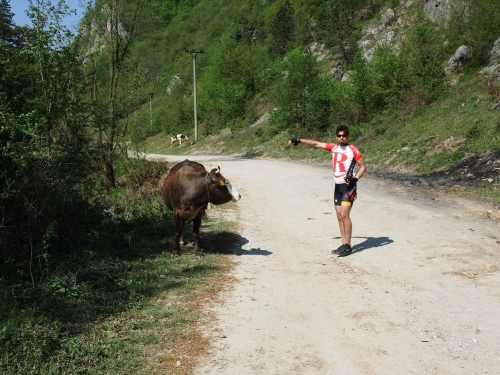 DSCF2277