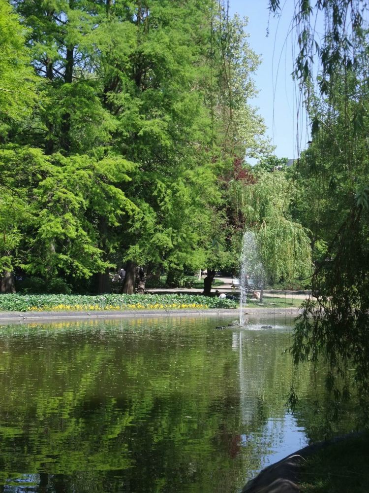 Novi sad_0063