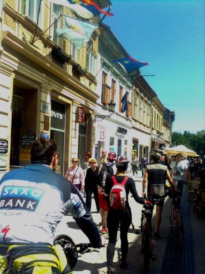 Novi Sad 1117