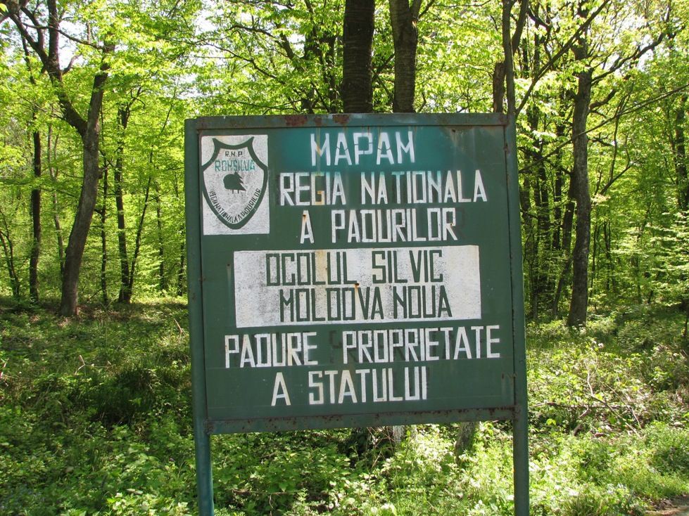 Rumunija_0128