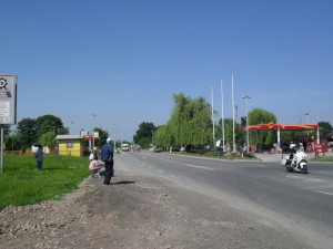 SDC11390