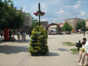 IMG_3307