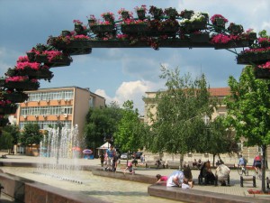 IMG_3316