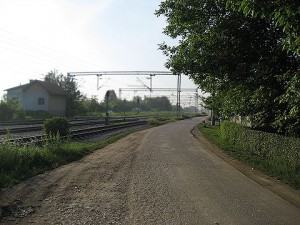 IMG_0154