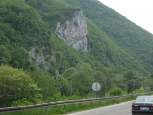 IMG_0238_resize