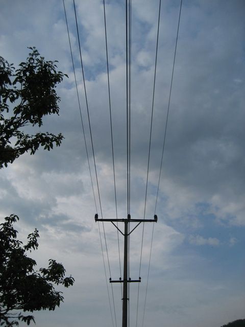 IMG_0241_resize