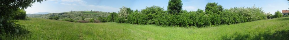 Untitled_Panorama1