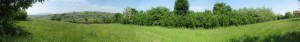 Untitled_Panorama1