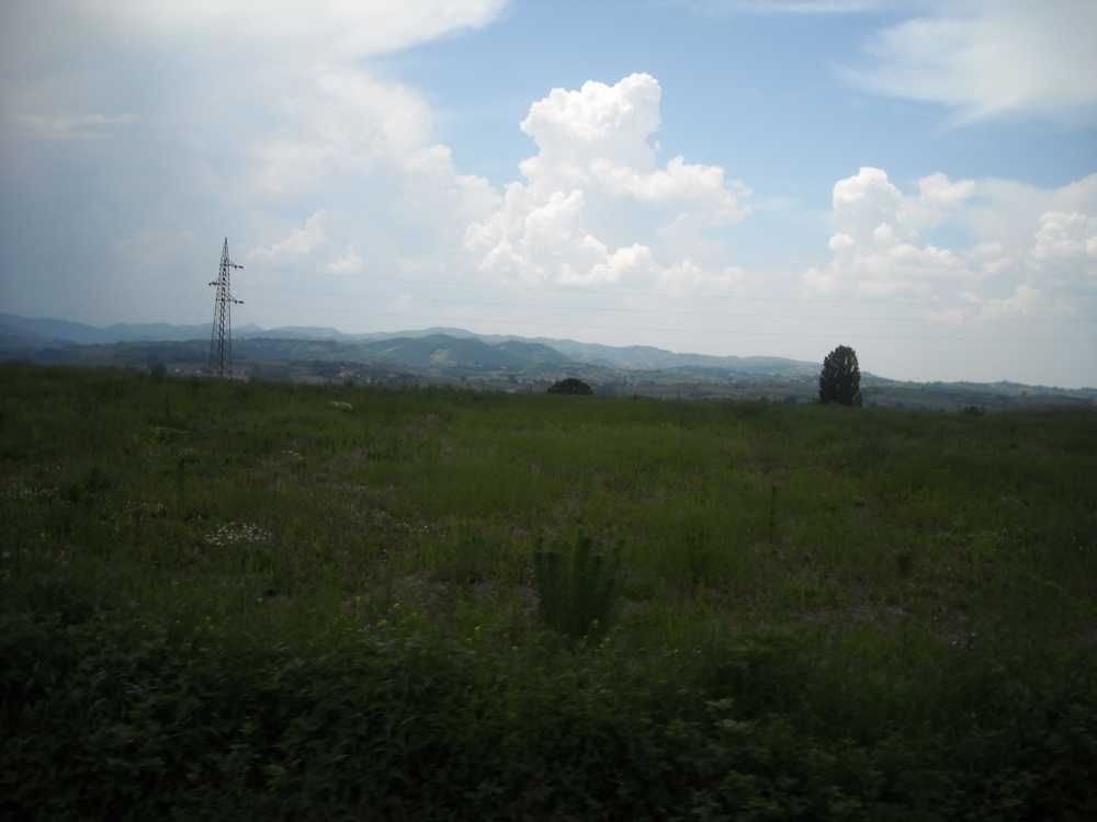 DSCN1110