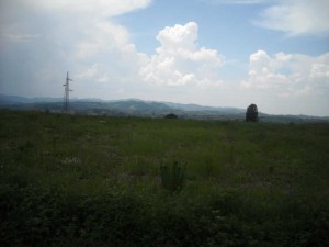 DSCN1110