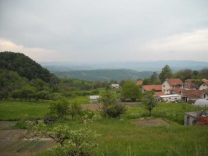 DSCN1115