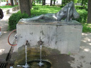 IMG_3329