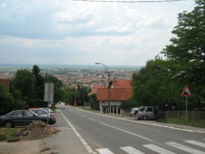 IMG_3378