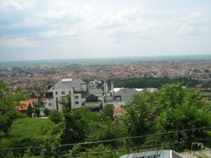 IMG_3381