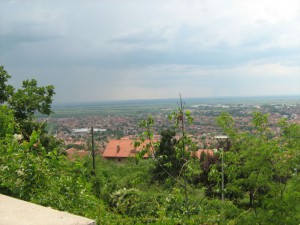 IMG_3382
