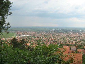 IMG_3383