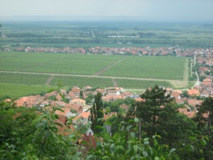 IMG_3386