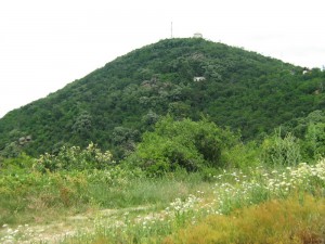 IMG_3388