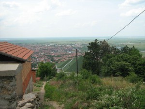 IMG_3391