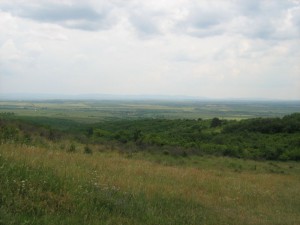 IMG_3394