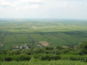 IMG_3397