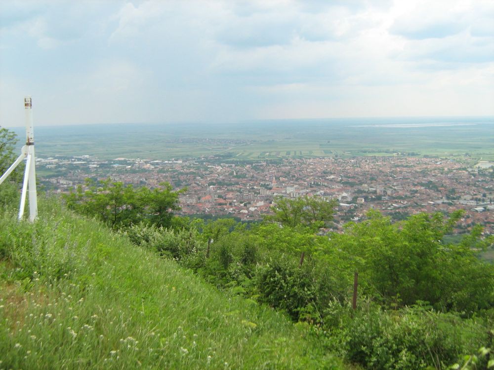 IMG_3401