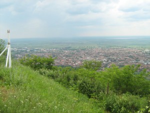 IMG_3401