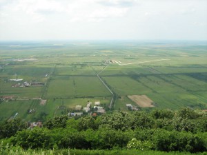 IMG_3402