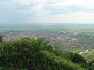 IMG_3409