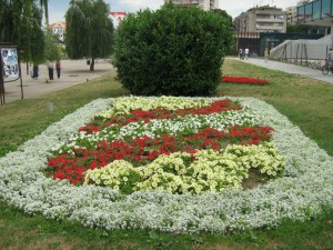 IMG_3448