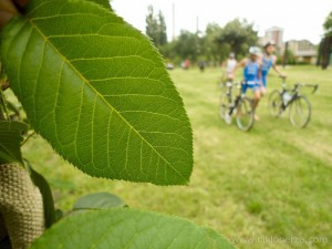Pancevacki_Triatlon_208b