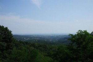 DSCF8707