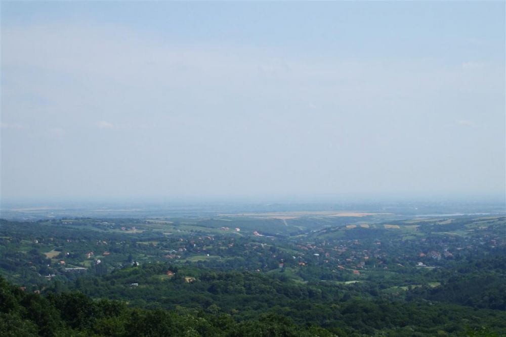DSCF8708