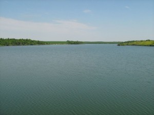 IMG_3468