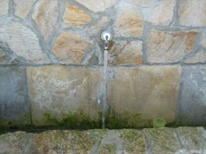 IMG_3489