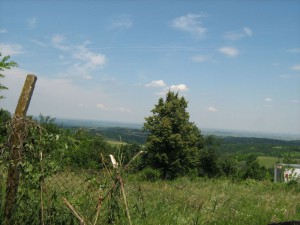 IMG_3494