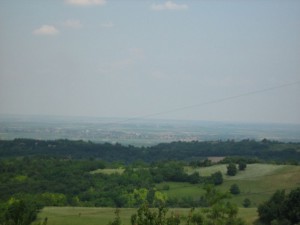 IMG_3501