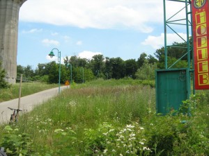 IMG_3510